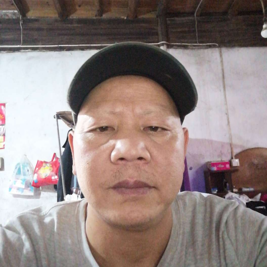 烂漫拾忆树叶的照片