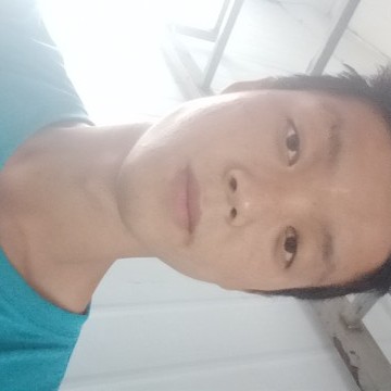 默默斑马的照片
