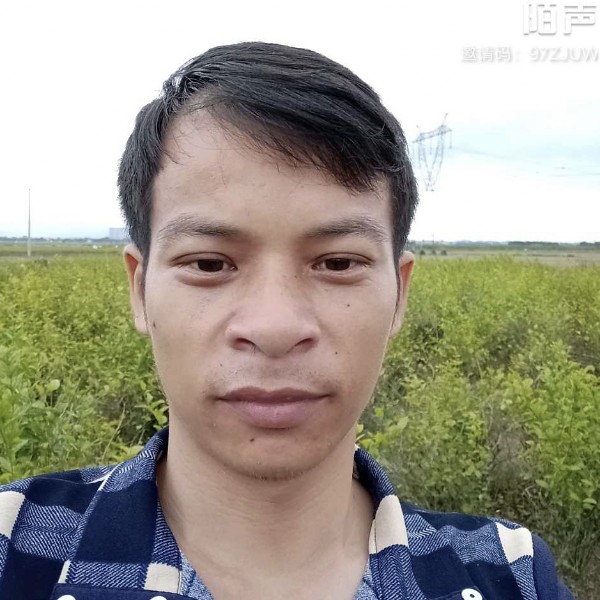菠萝蹙眉坚强的照片