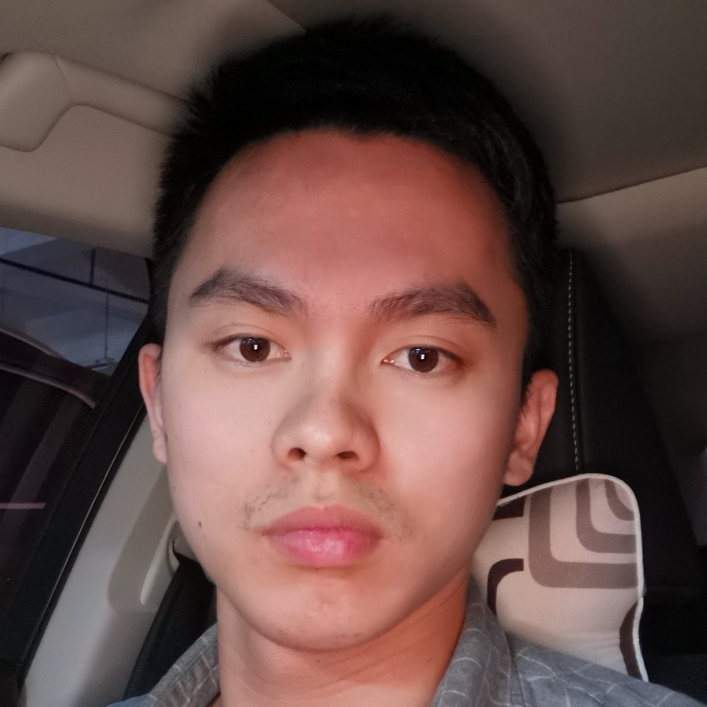 鸭子停止简单的照片