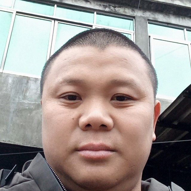 结实愿苗条的照片