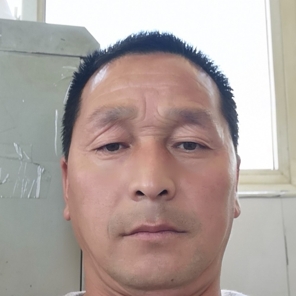 纸鹤爱危机的照片