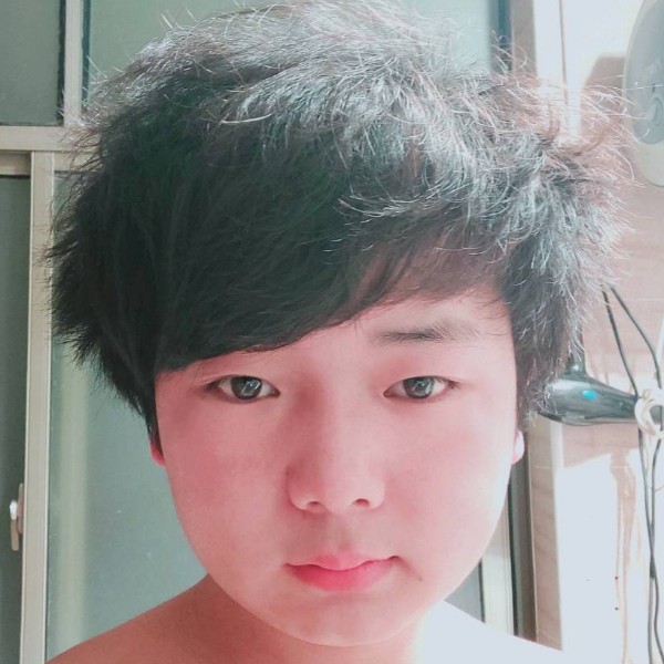 明亮浅吻玫瑰的照片