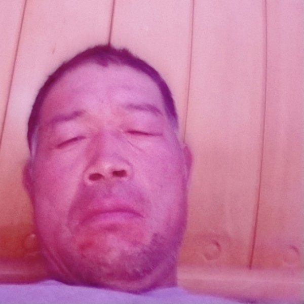 长颈鹿自觉的照片