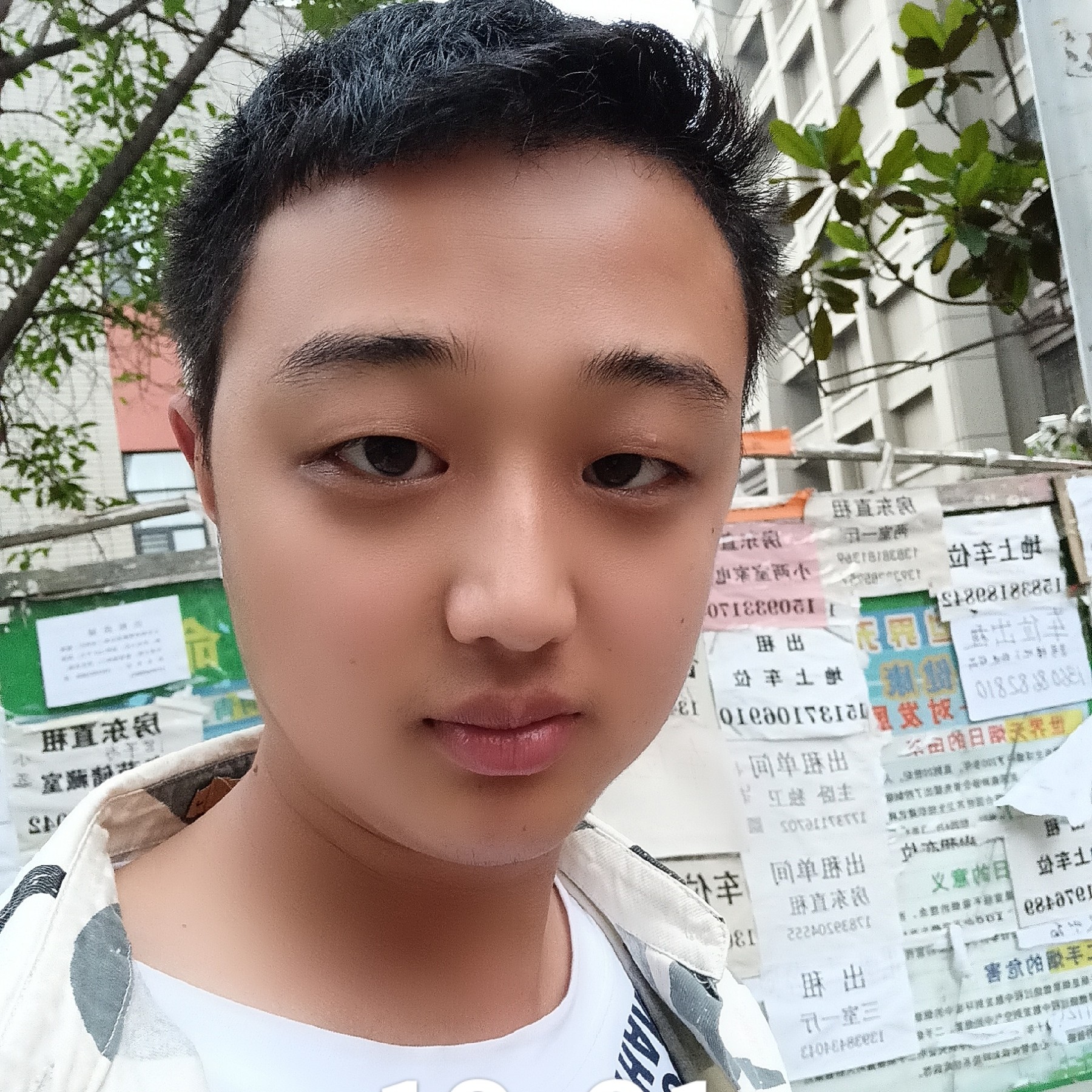 喜悦还大象的照片
