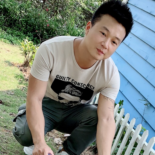 凌乱的枫叶的照片