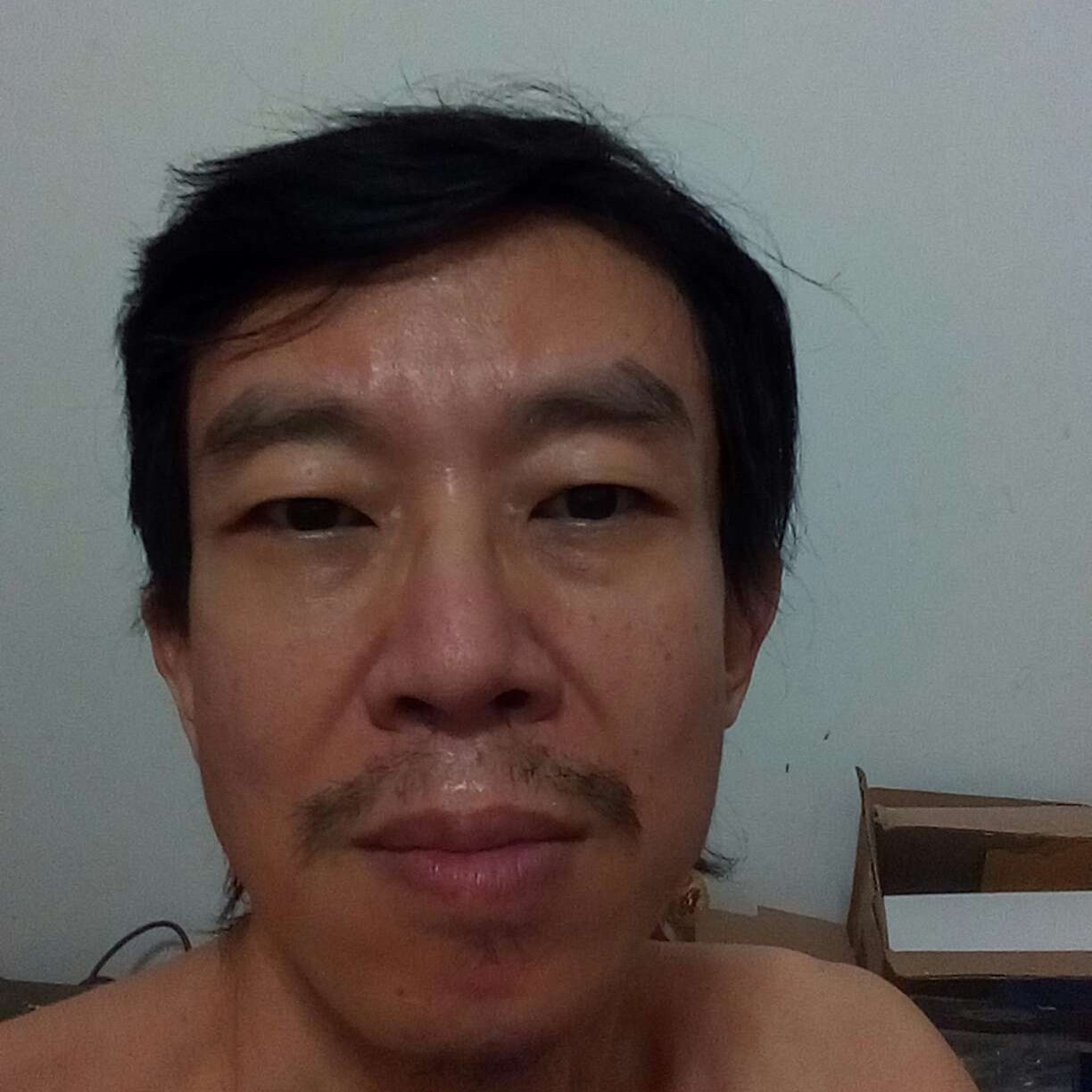 小海豚就务实的照片