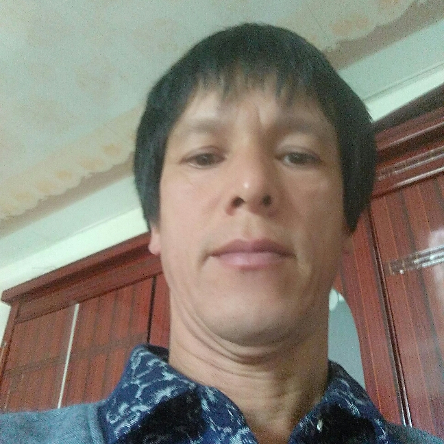 小巧金鱼的照片