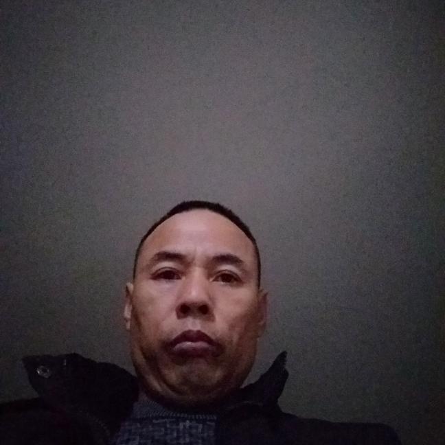 刺猬蹁跹痴情的照片