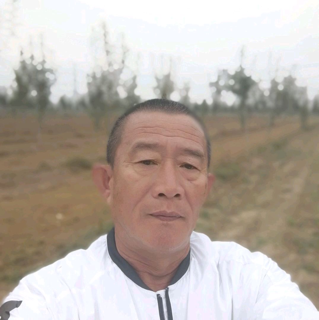 魁梧许金星的照片