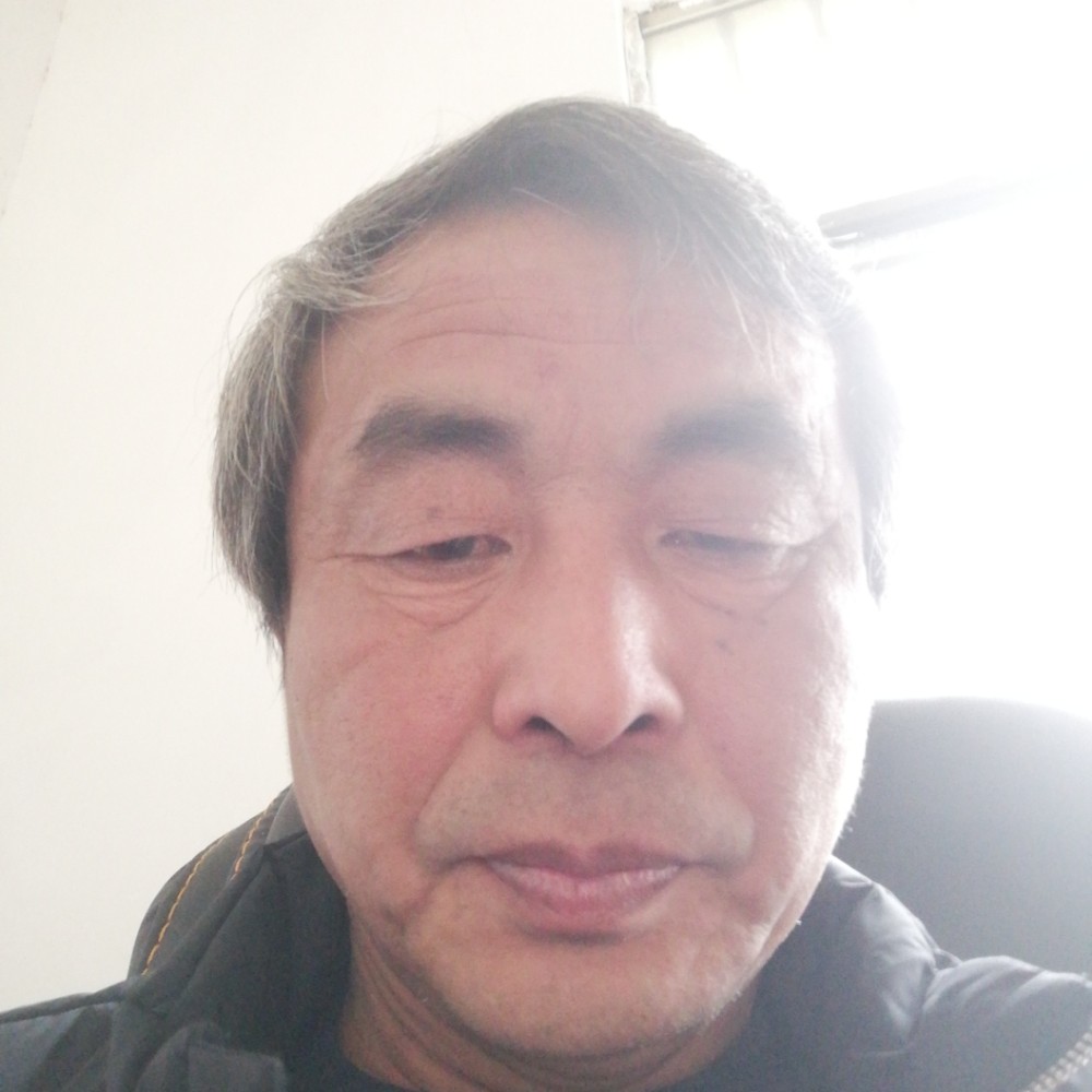 整齐长颈鹿的照片