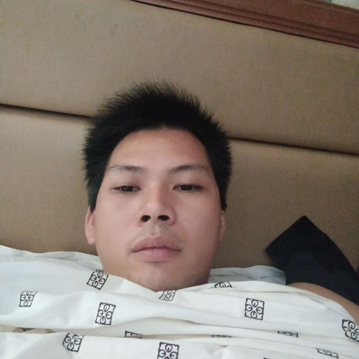 木辛杨的照片