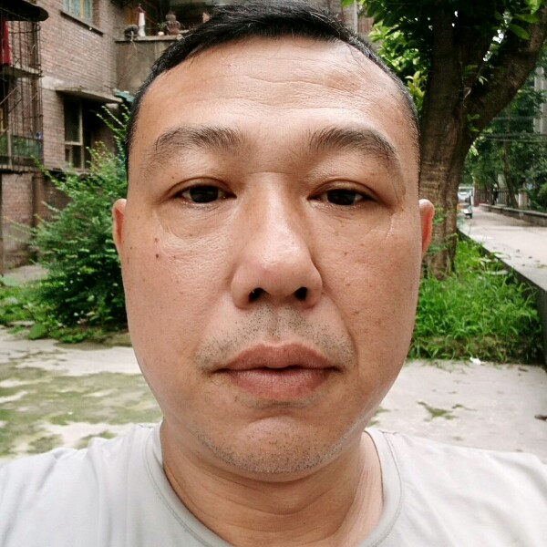 有缴在相会的照片