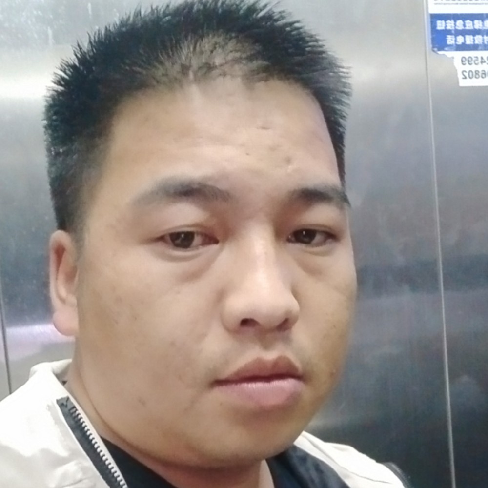 追寻相许洋葱的照片