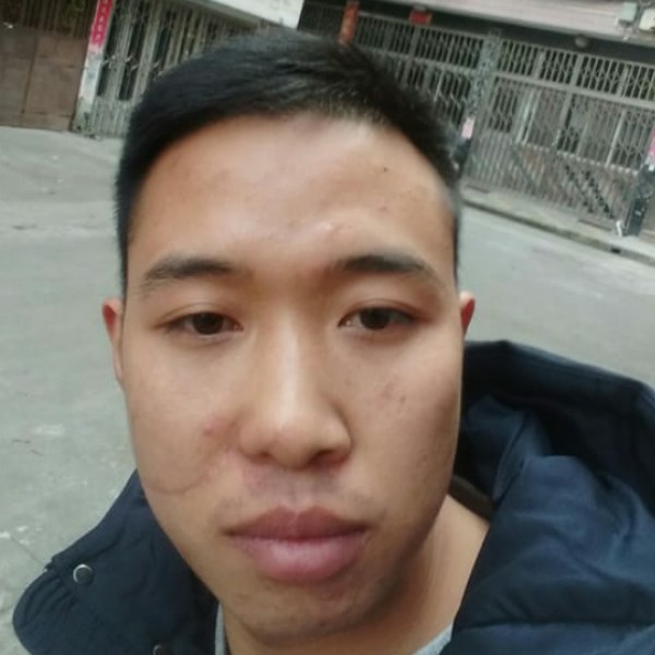 黄蜂风趣的照片
