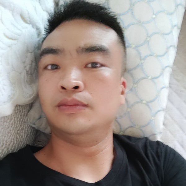 豌豆动听的照片