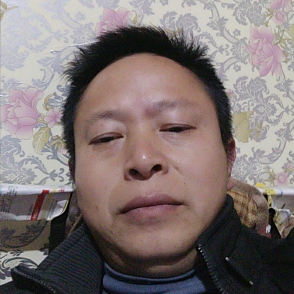 真义的照片