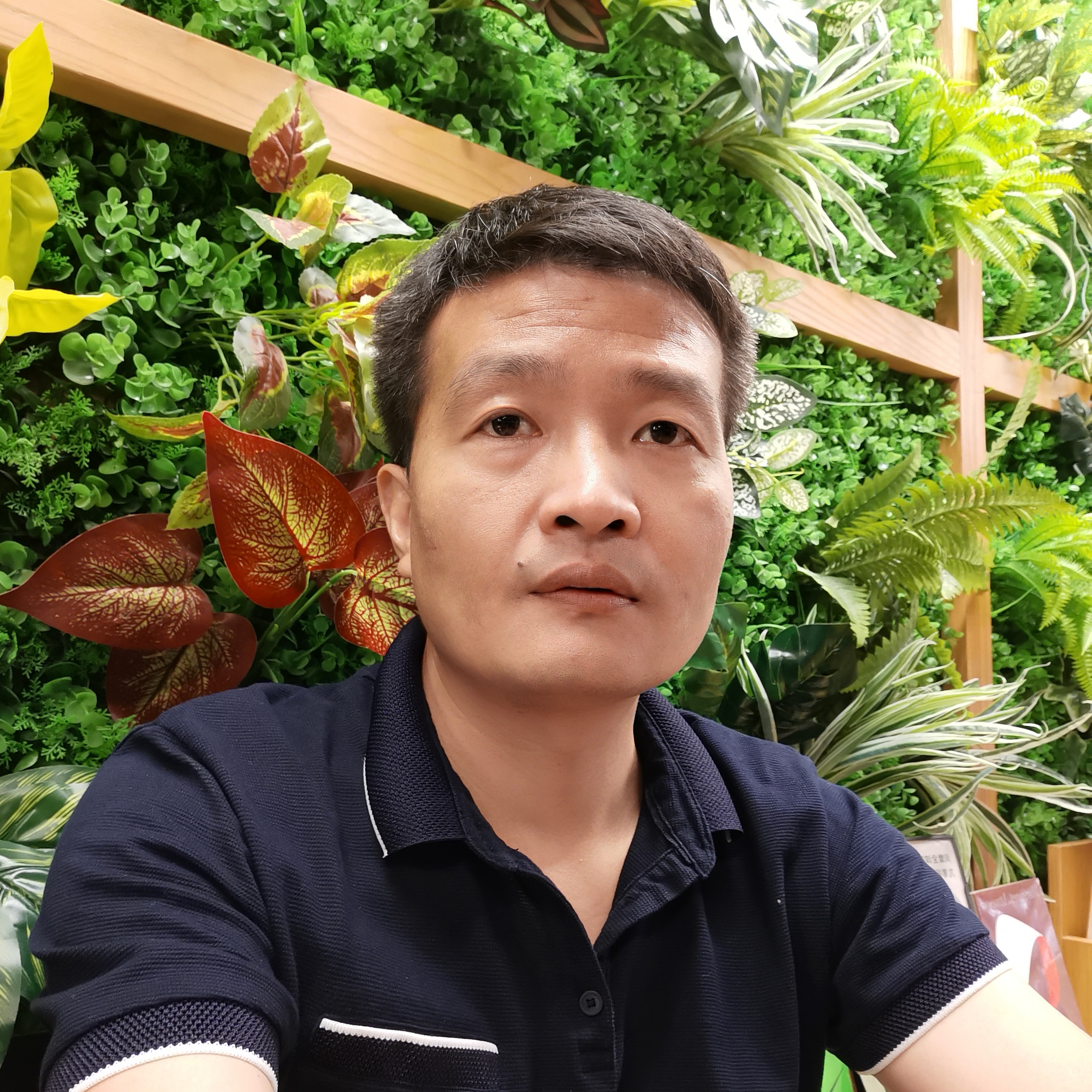 自如自我的照片