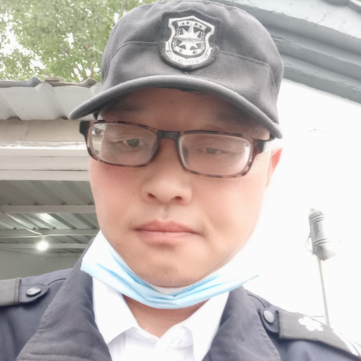 阳光浅吻荼蘼的照片