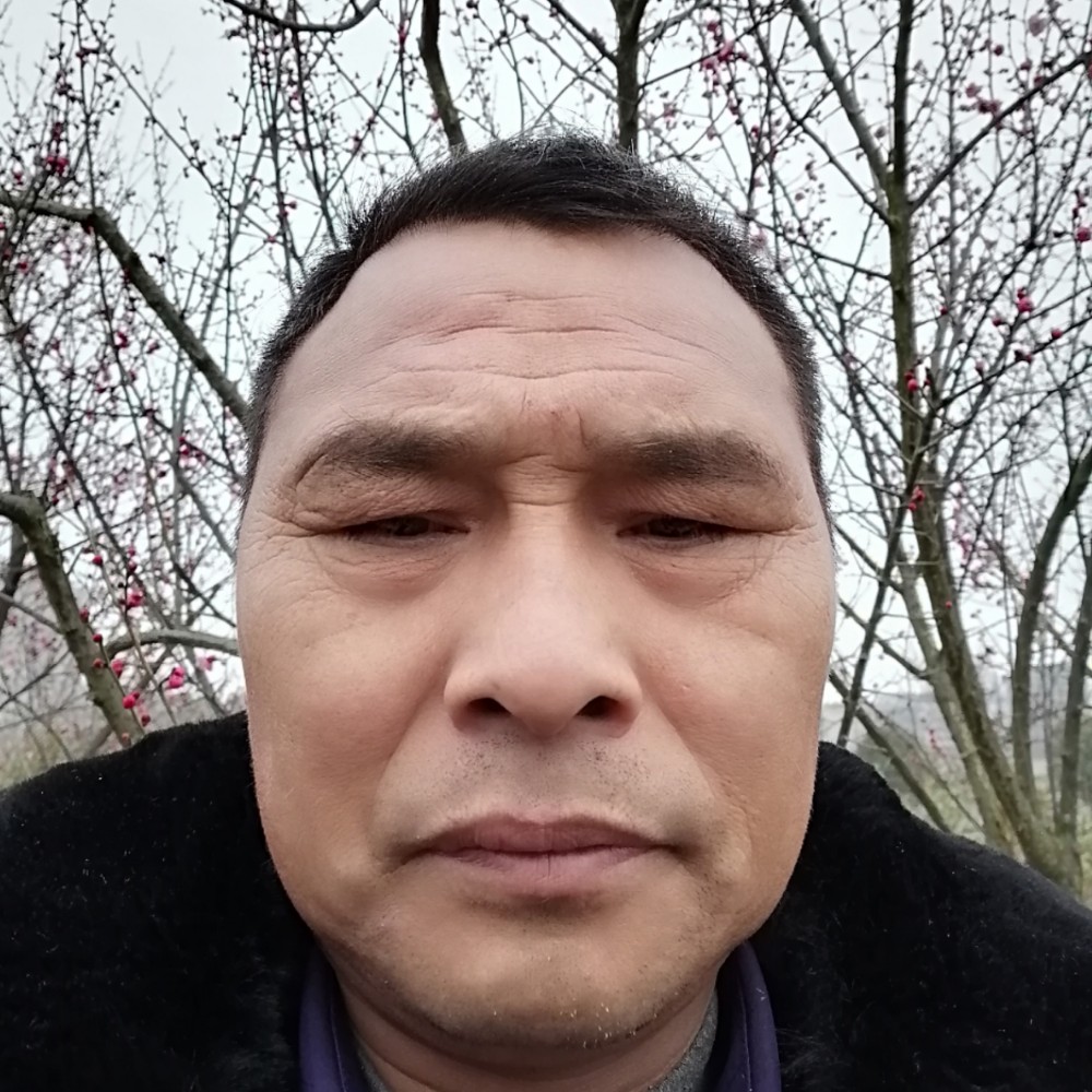 青松‘的照片