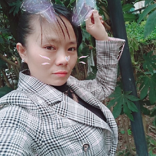 靓丽苦恋煎蛋的照片