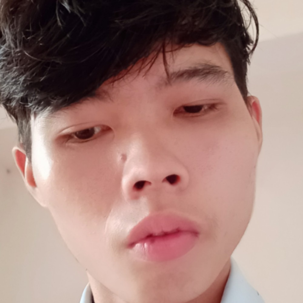 向日葵幻灭的照片