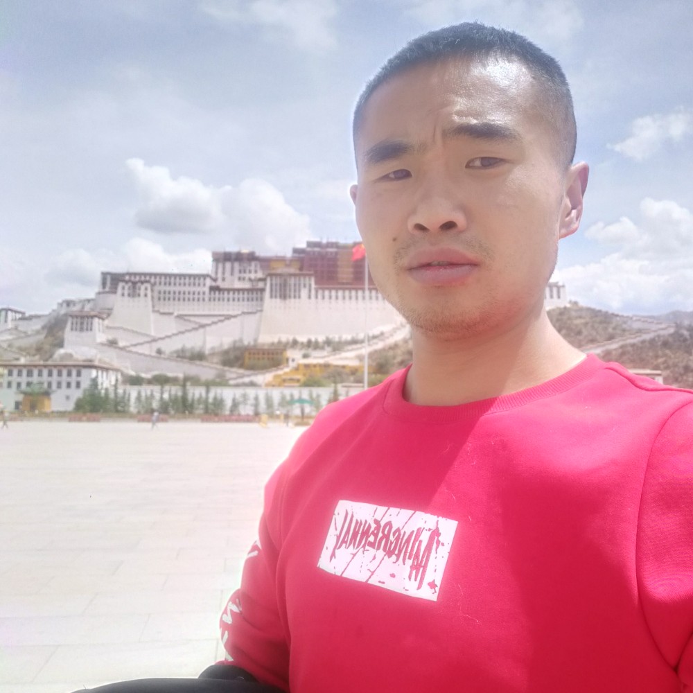 刺猬爱优秀的照片