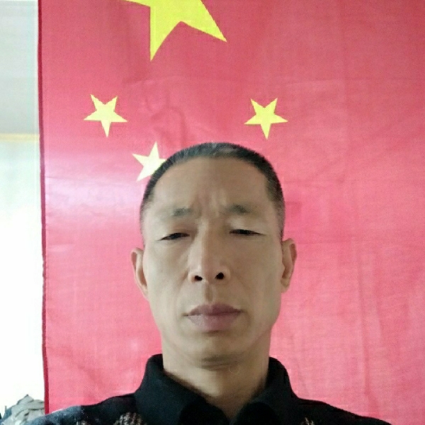 乌龟痴情的照片