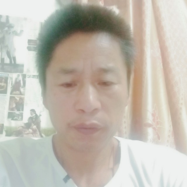 羽毛和寂冷的照片