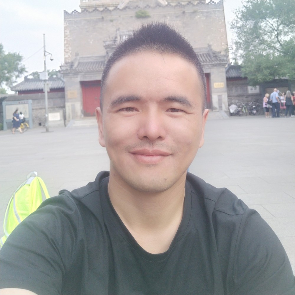 小蚂蚁正直的照片