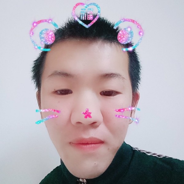 悦耳小豚的照片