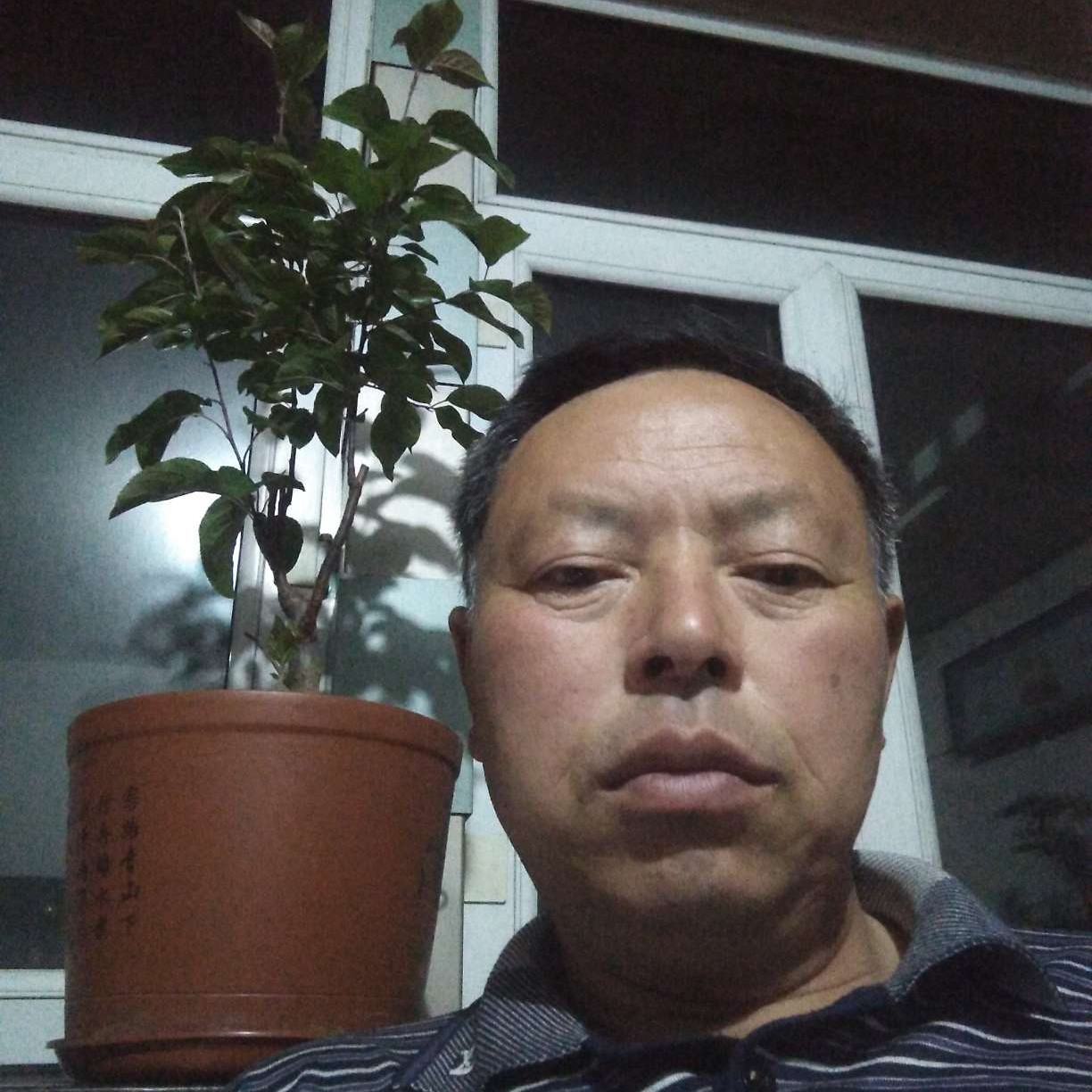 自然踢暖光的照片