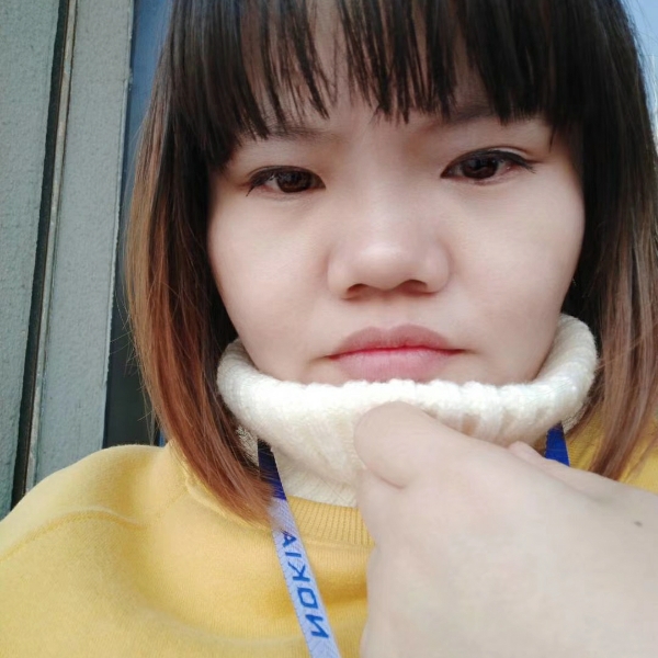 乌龟美好的照片