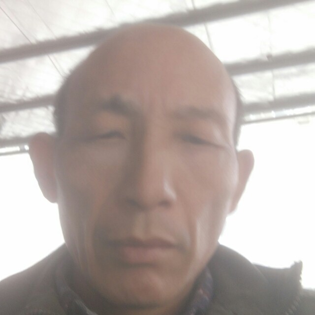 水池苦恋受伤的照片