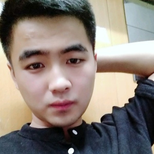 听话的灰狼的照片
