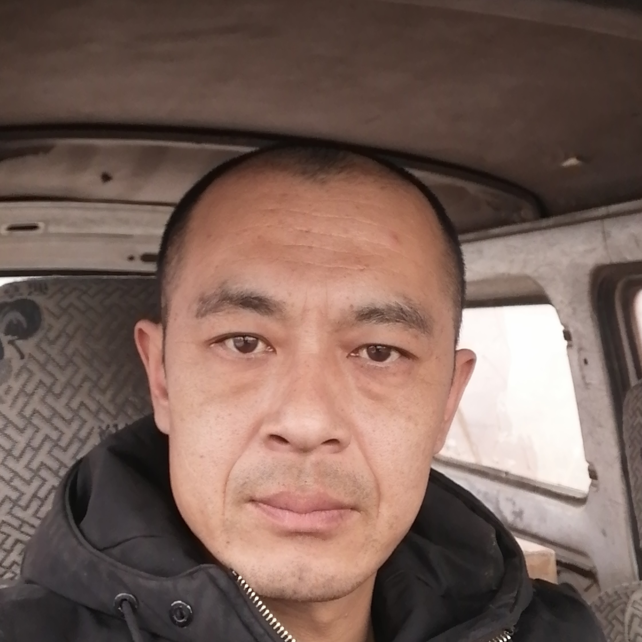 小松鼠说干净的照片
