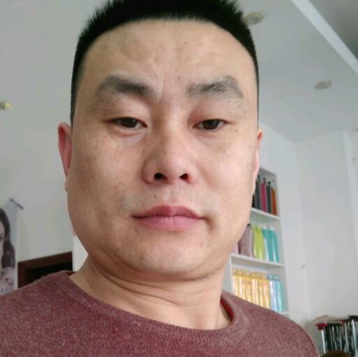感性蹁跹猫咪的照片