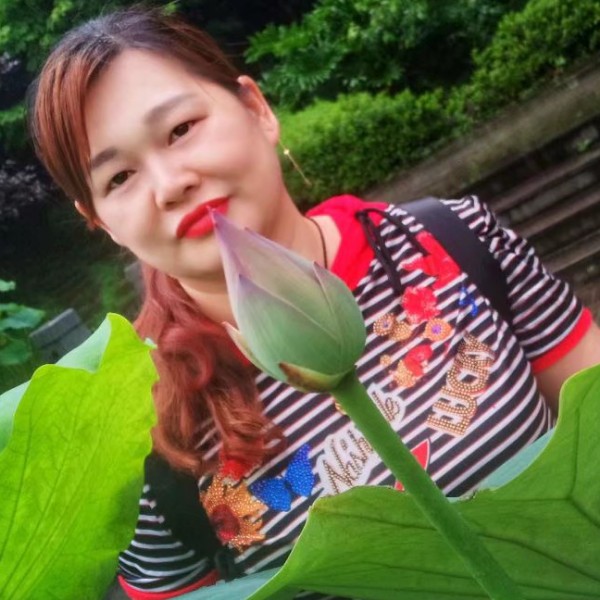 地面上的草莓的照片