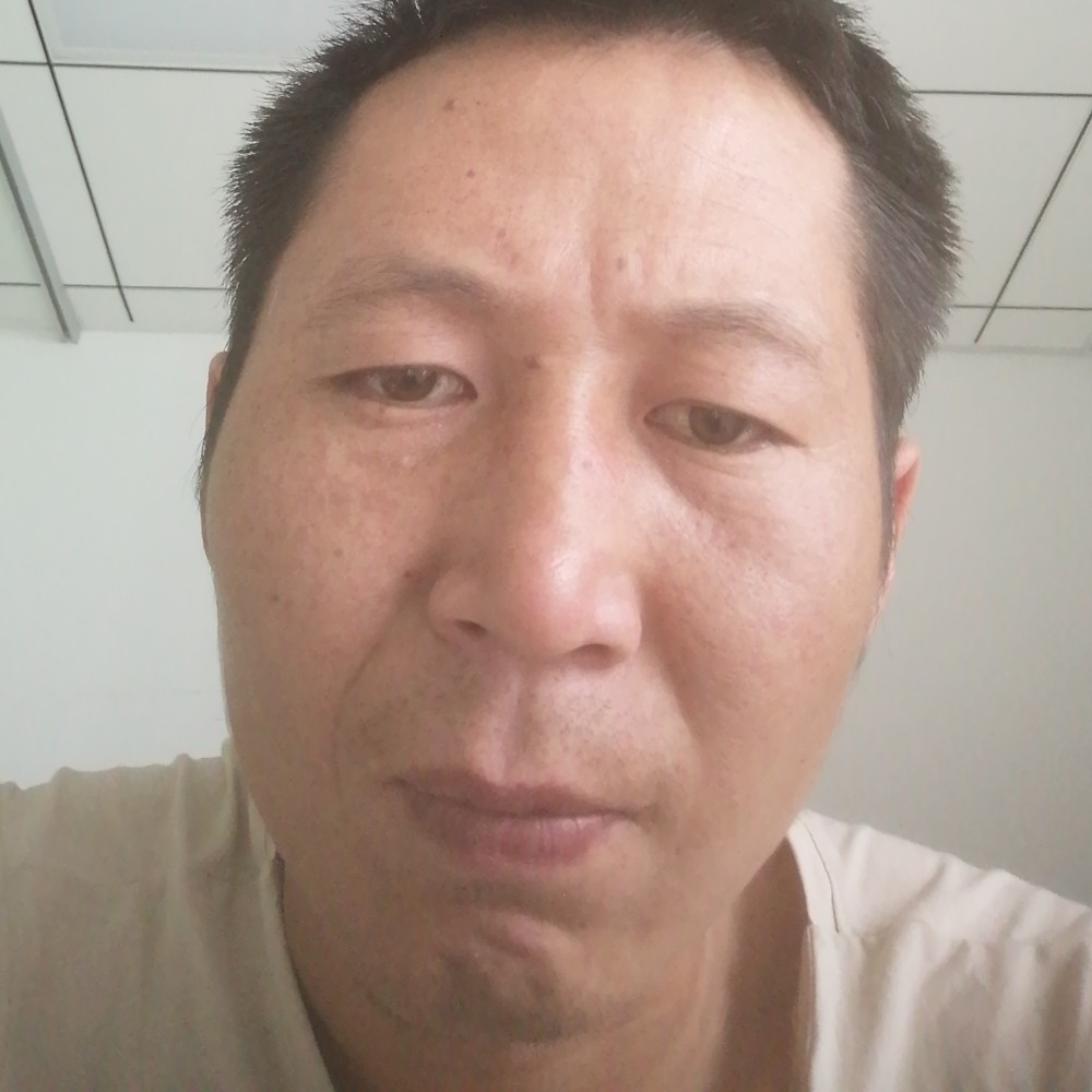贪玩多么刺猬的照片