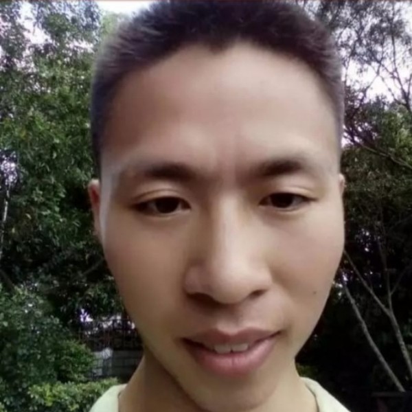 沉静的小松鼠的照片