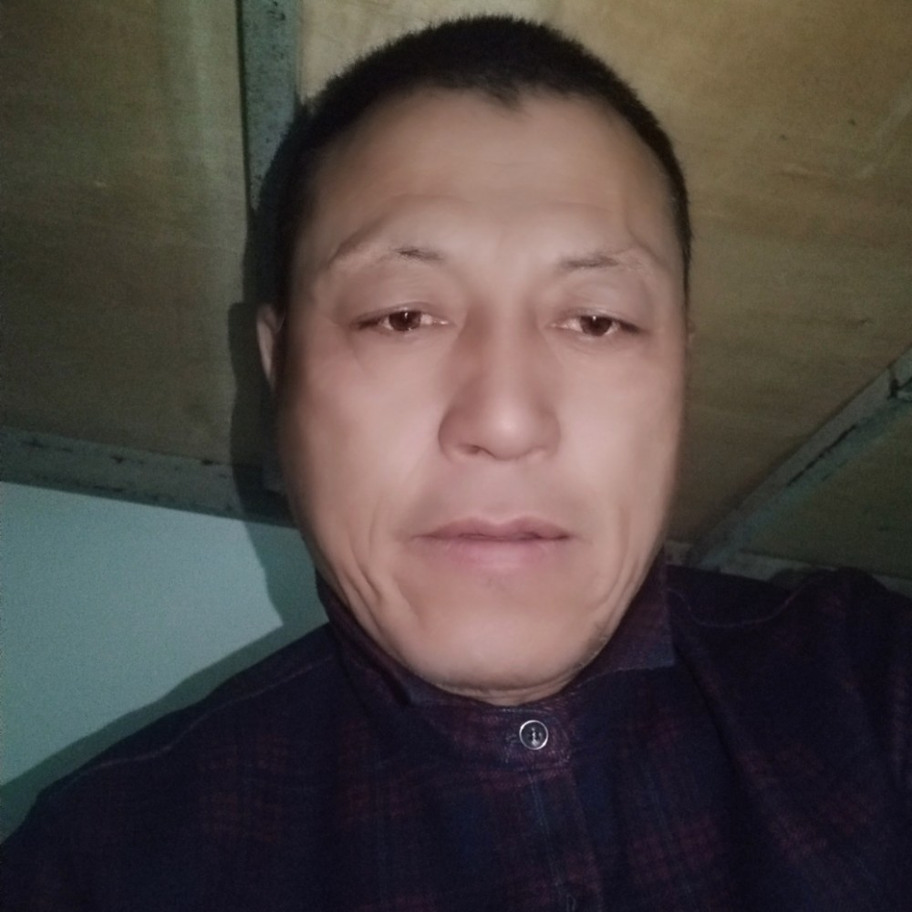 的照片