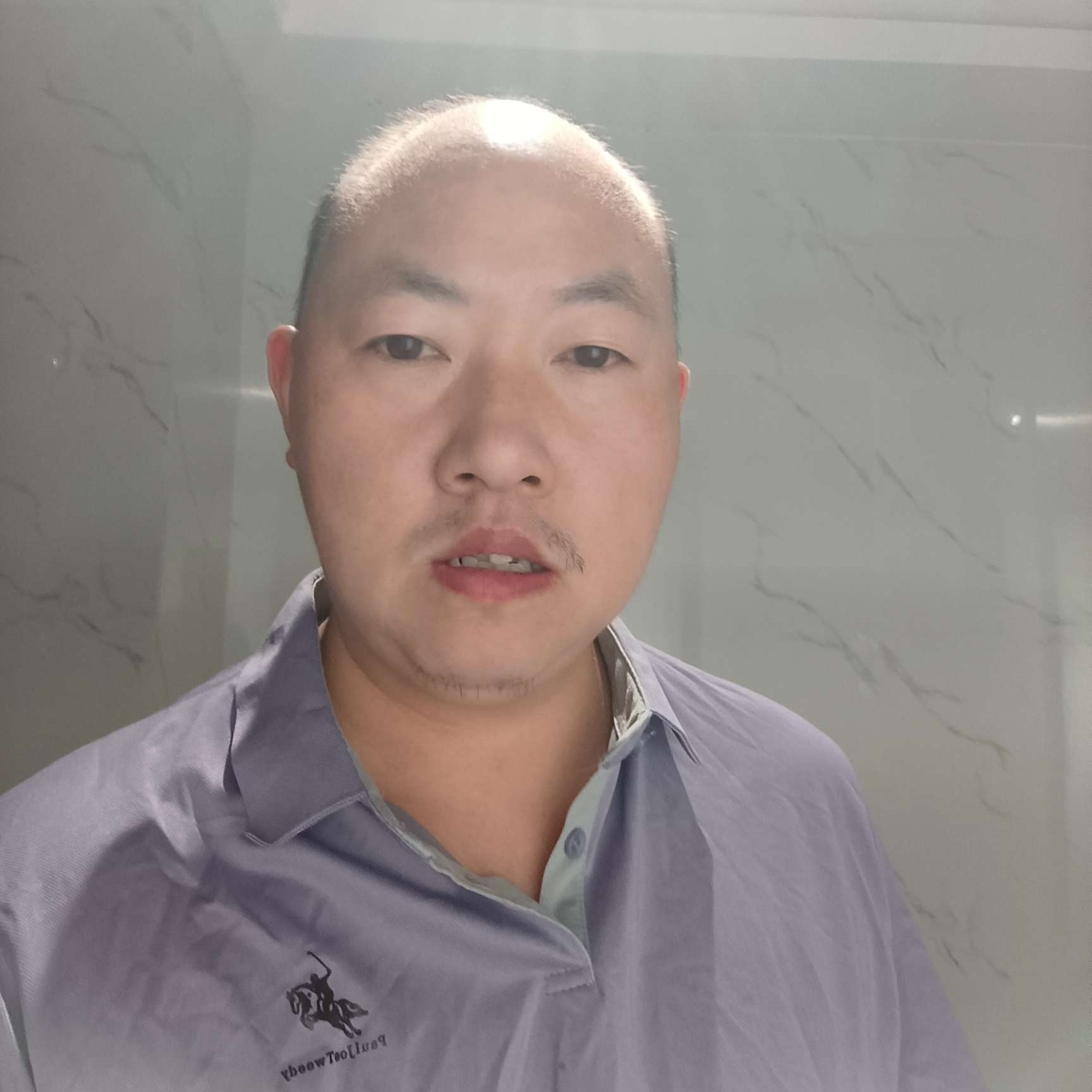 树叶回眸重要的照片