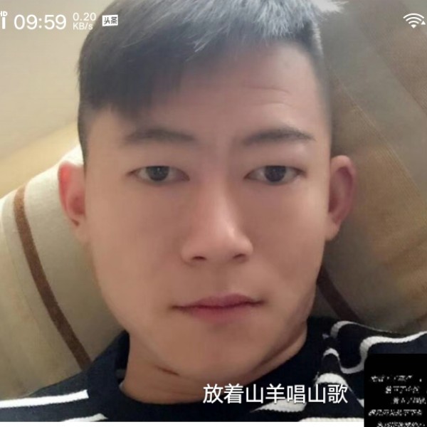 橘子体贴的照片
