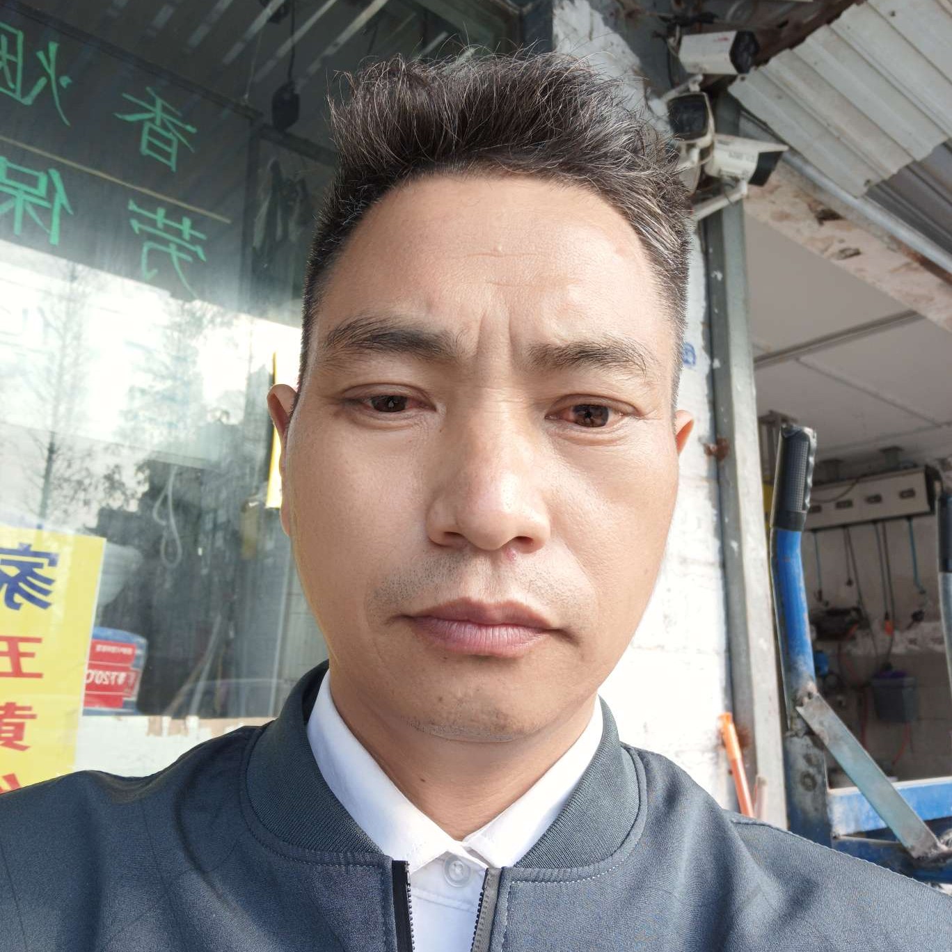 畅快向红玫瑰的照片