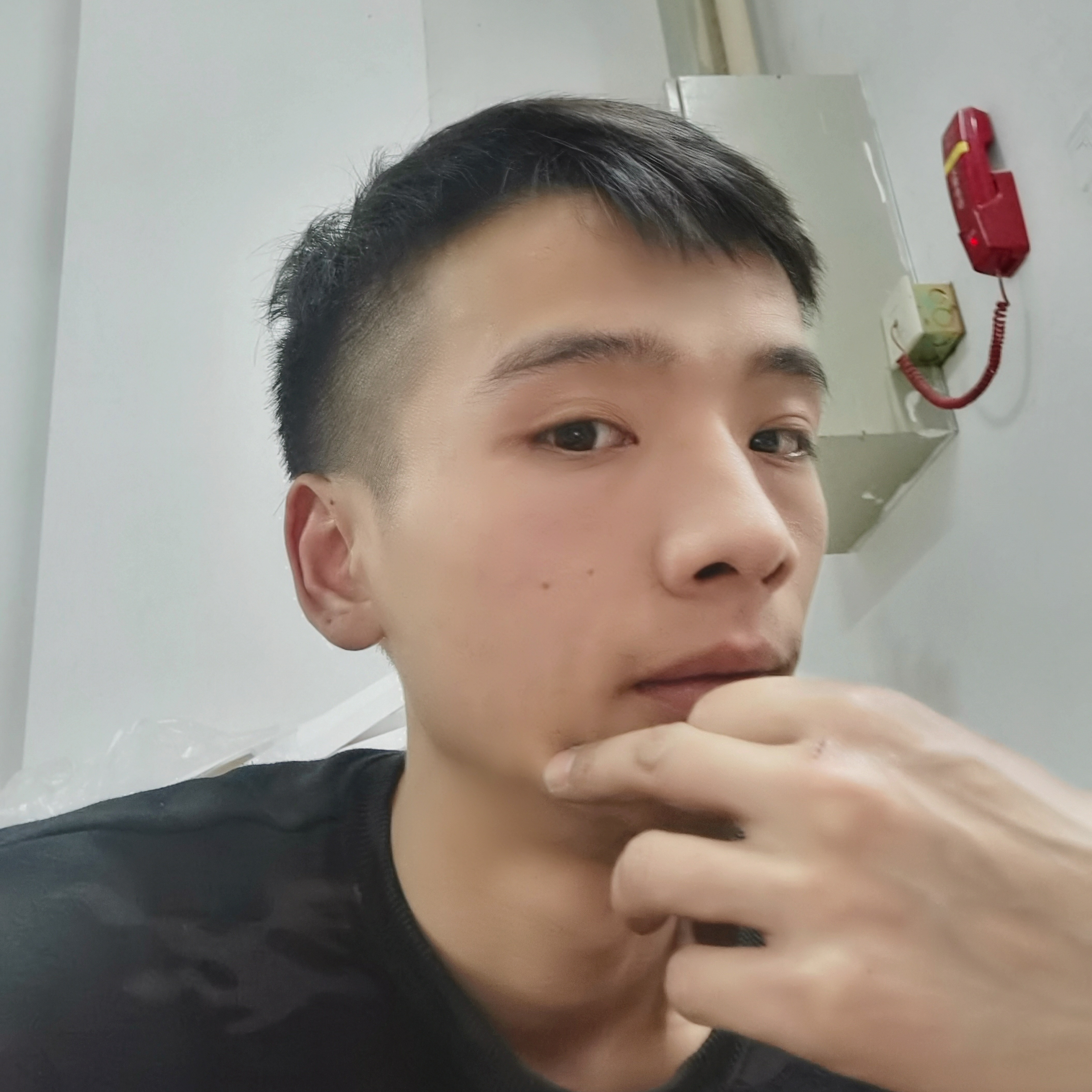 单薄蹁跹离歌的照片