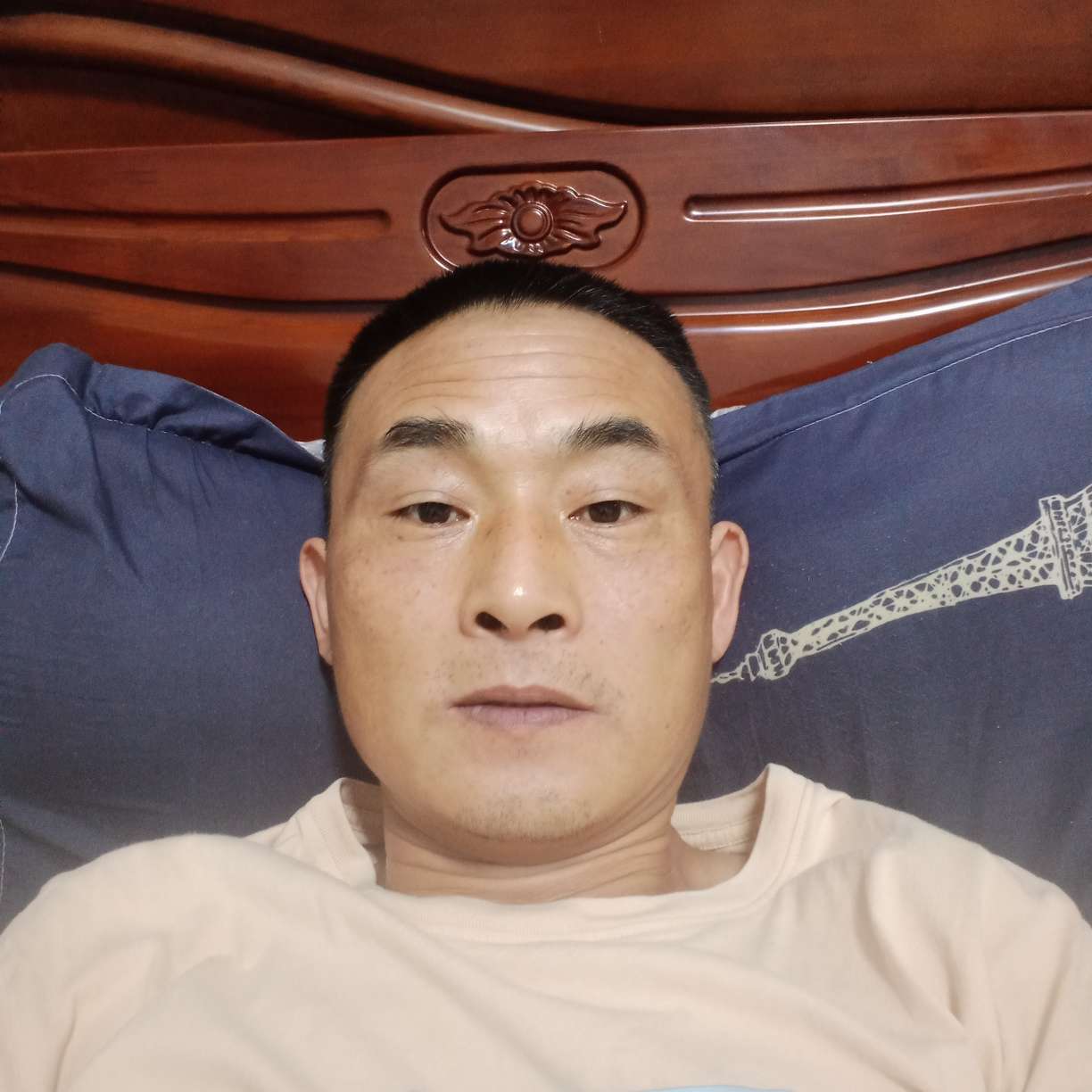 顺心扯小兔子的照片