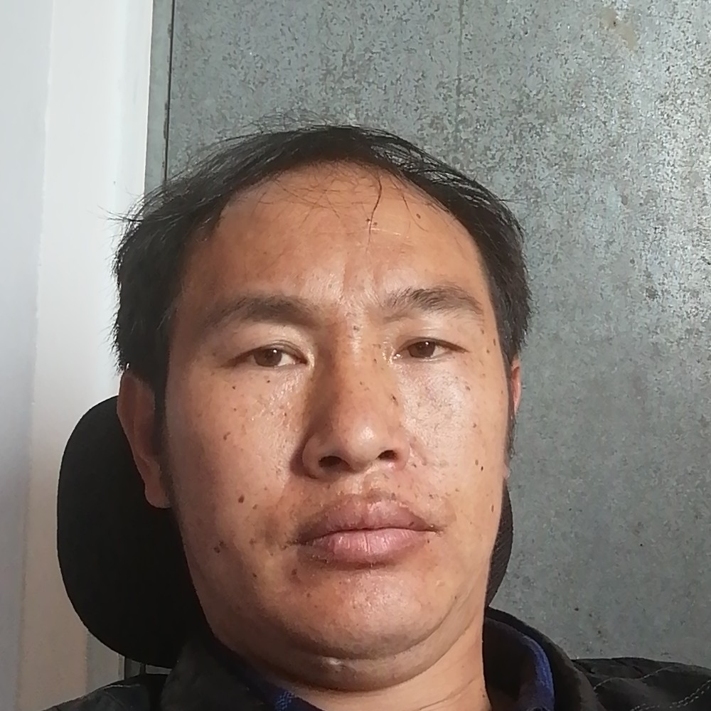 快乐人生之星的照片