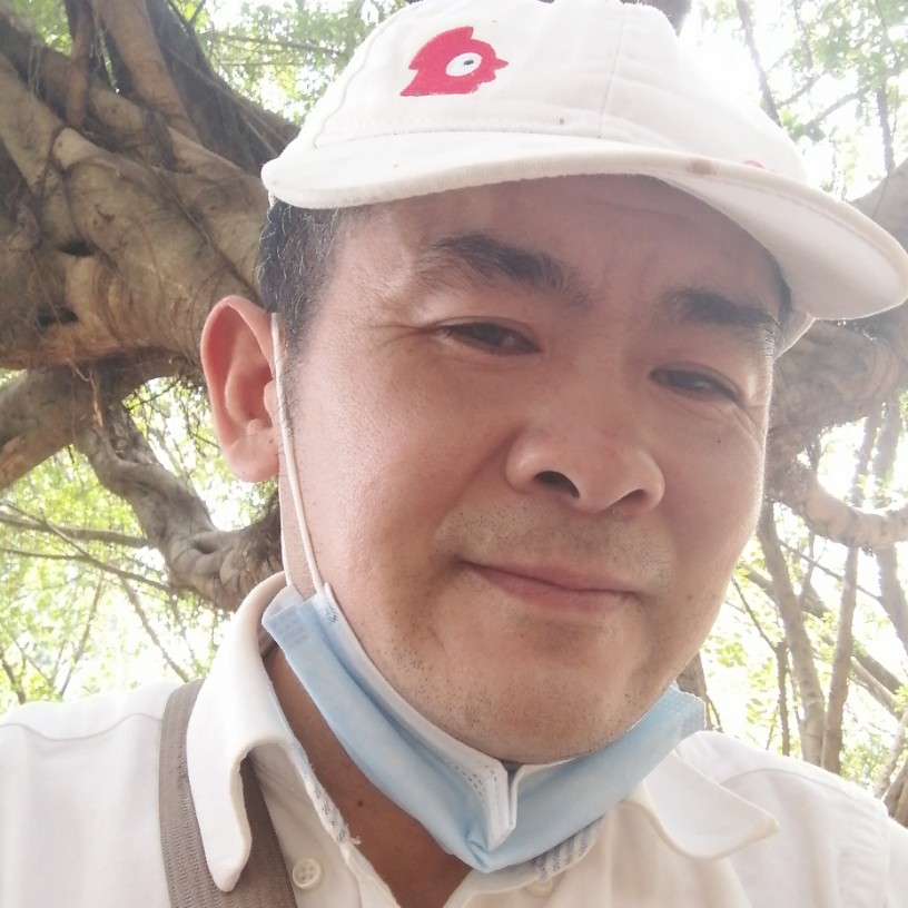 小熊猫清脆的照片