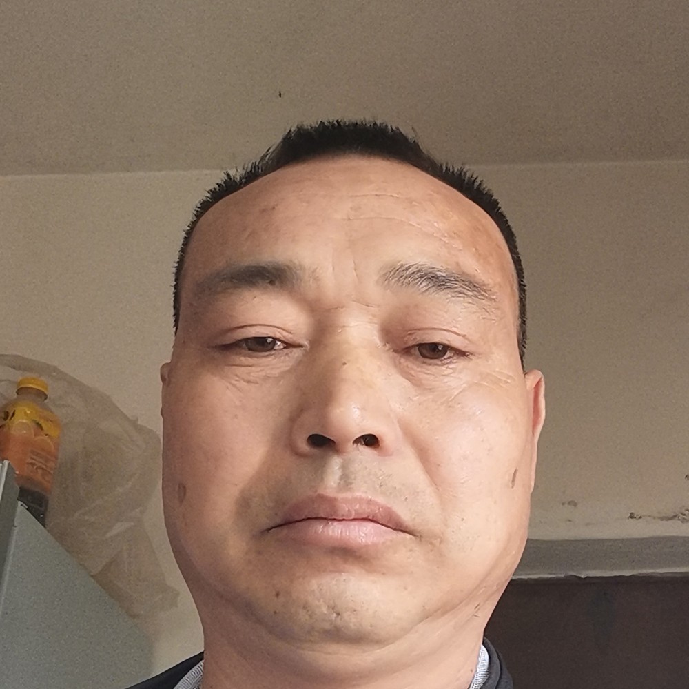 树叶等待漠然的照片