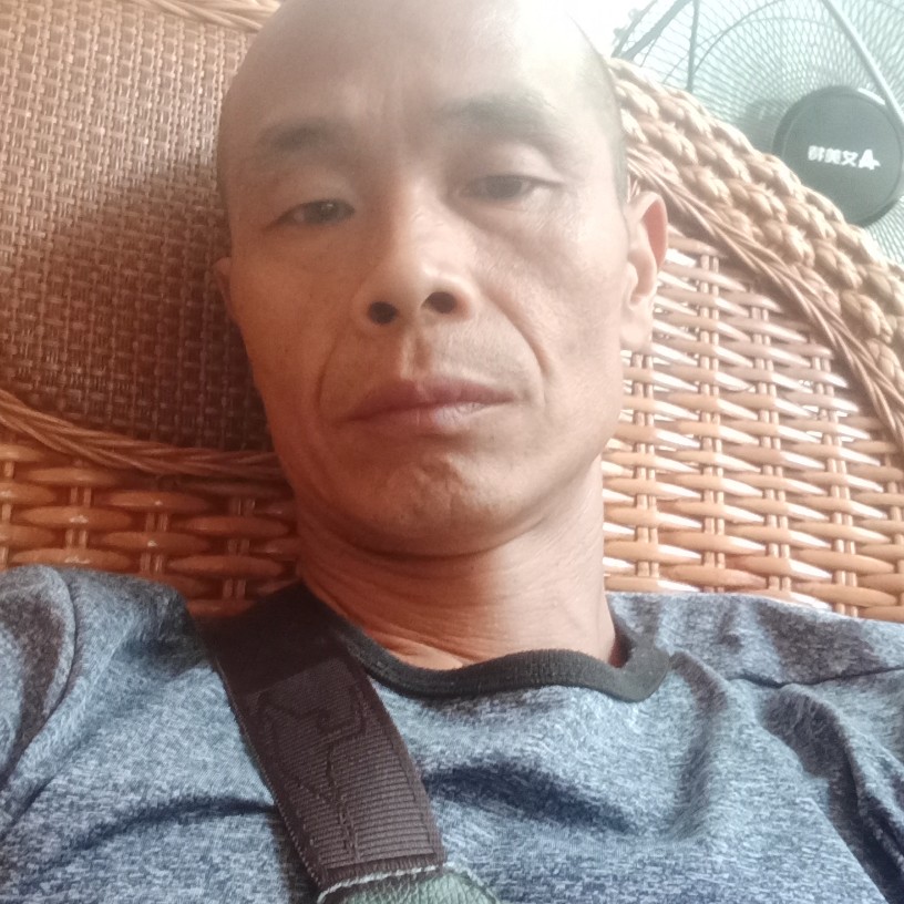 海燕兴奋的照片
